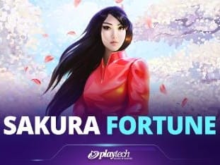 Sakura Fortune Live